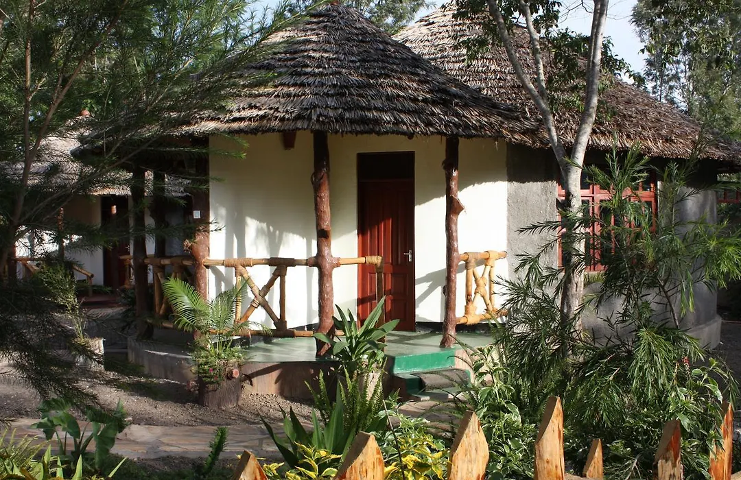 The Vijiji Center Lodge & Safari-1